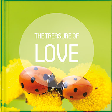 The Treasure of Love free book