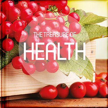 The Treasure of Health free book